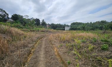 DIJUAL TANAH JL SOEKARNO HATTA