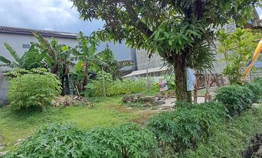 Tanah kosong yang bisa disewa dengan harga murah di Margacinta