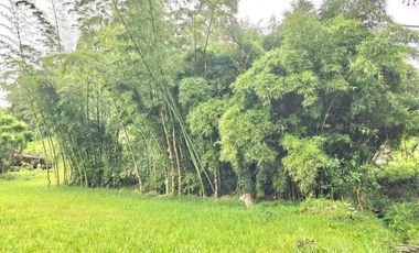 Finca en Venta Ubicado en Rionegro Codigo 2123