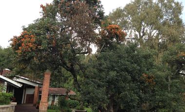 Casa en gran terreno en venta en Villa Guerrero, Estado de México