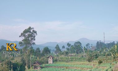 Di Jual Cottage / Resort Baru Di Ciwidey Bandung