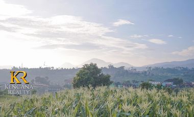 Di Jual Cottage / Resort Baru Di Ciwidey Bandung