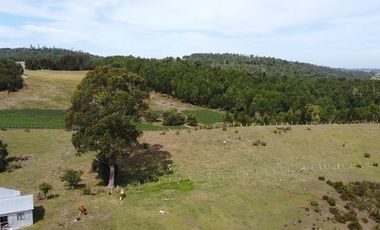 Parcelas Estaquilla Puerto Varas