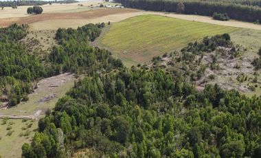 Parcelas Estaquilla Puerto Varas