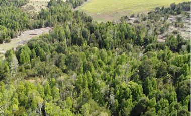 Parcelas Estaquilla Puerto Varas