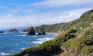 Parcelas Estaquilla Puerto Varas