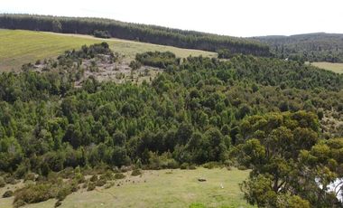 Parcelas Estaquilla Puerto Varas