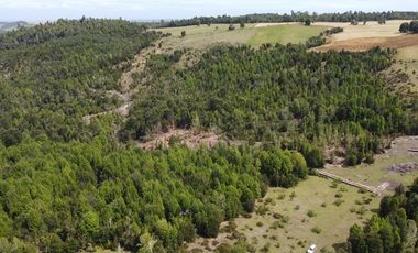 Parcelas Estaquilla Puerto Varas