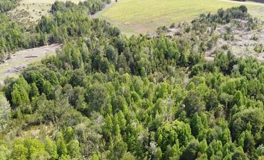Parcelas Estaquilla Puerto Varas