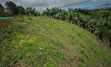 VENTA de LOTES en PEREIRA