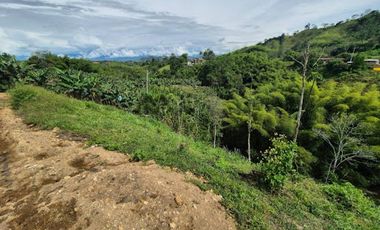 VENTA de LOTES en PEREIRA