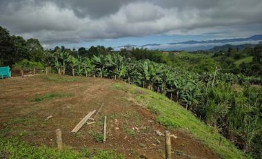 VENTA de LOTES en PEREIRA