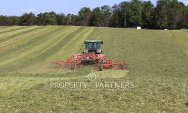 Campo ganadero Paillaco excelente ubicación