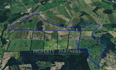 Campo ganadero Paillaco excelente ubicación