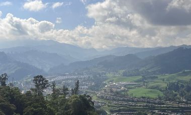 APARTAMENTO EN ARRIENDO EN PALERMO/MANIZALES