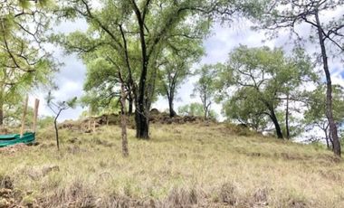 Terreno en venta en el roble residencial