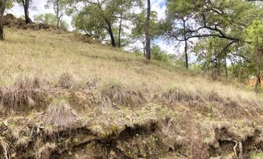 Terreno en venta en el roble residencial