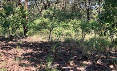 Terreno en venta en el roble residencial