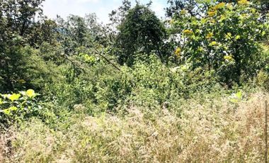 Terreno en venta en El Roble residencial