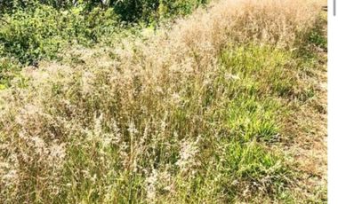 Terreno en venta en El Roble residencial