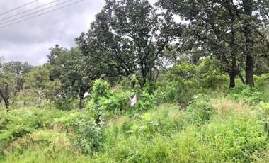 Terreno en venta en El Roble residencial