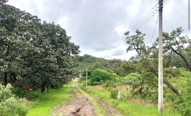 Terreno en venta en El Roble residencial