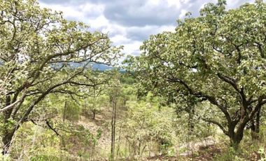 Terreno en venta en El Roble residencial