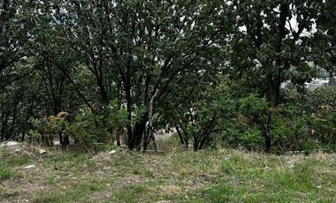 Terreno en venta en Bugambilias, segunda sección