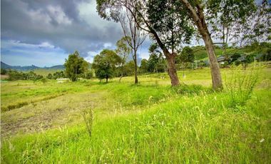 Venta Lote Parcelacion 100% Plano todos los Servicios La Ceja