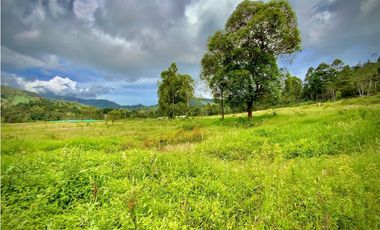 Venta Lote Parcelacion 100% Plano todos los Servicios La Ceja