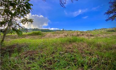 Venta Lote Parcelacion Alto Palmas