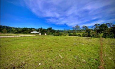Venta Lote Parcelacion Alto Palmas