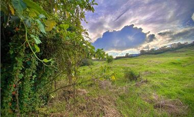 Venta Lote Parcelacion Alto Palmas