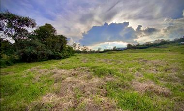 Venta Lote Parcelacion Alto Palmas