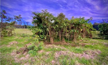 Venta Lote Parcelacion Alto Palmas
