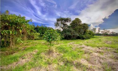 Venta Lote Parcelacion Alto Palmas