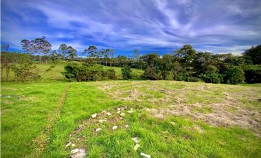 Venta Lote Parcelacion Alto Palmas