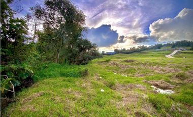 Venta Lote Parcelacion Alto Palmas