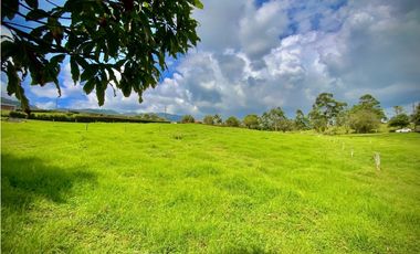 Venta Lote Semiplano con Exotica Vista Parcelacion El Retiro