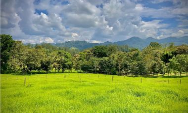 Venta Lote Semiplano con Exotica Vista Parcelacion El Retiro