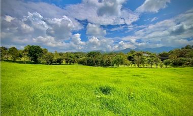 Venta Lote Semiplano con Exotica Vista Parcelacion El Retiro