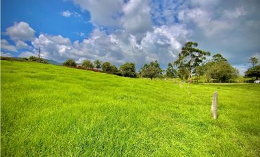 Venta Lote Semiplano con Exotica Vista Parcelacion El Retiro