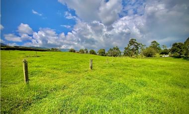 Venta Lote Semiplano con Exotica Vista Parcelacion El Retiro