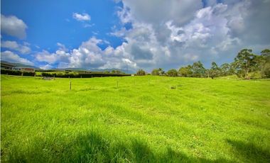 Venta Lote Semiplano con Exotica Vista Parcelacion El Retiro