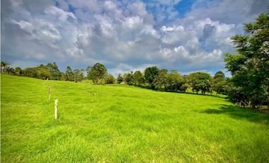 Venta Lote Semiplano con Exotica Vista Parcelacion El Retiro