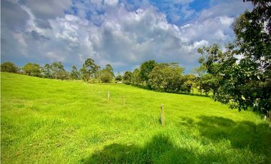 Venta Lote Semiplano con Exotica Vista Parcelacion El Retiro