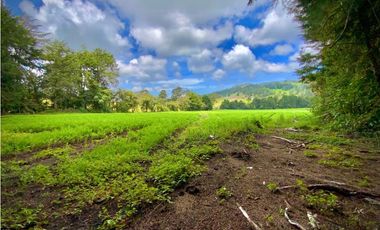 Venta Espectacular Lote Alto Palmas 100% plano Envigado