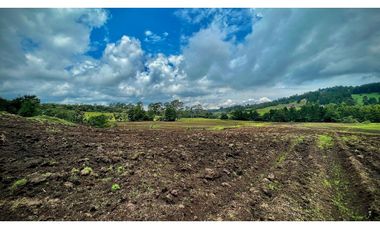 Venta Espectacular Lote Alto Palmas 100% plano Envigado