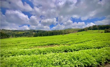 Venta Espectacular Lote Alto Palmas 100% plano Envigado