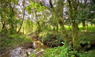 Venta Espectacular Lote Alto Palmas 100% plano Envigado